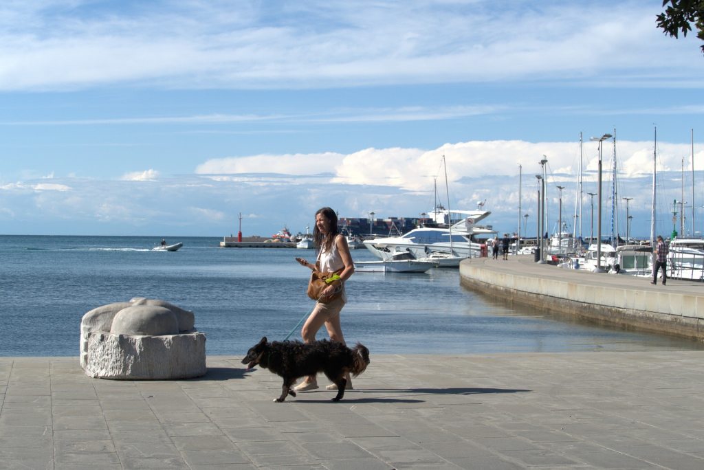 Einreisebestimmungen mit Hund Slowenien